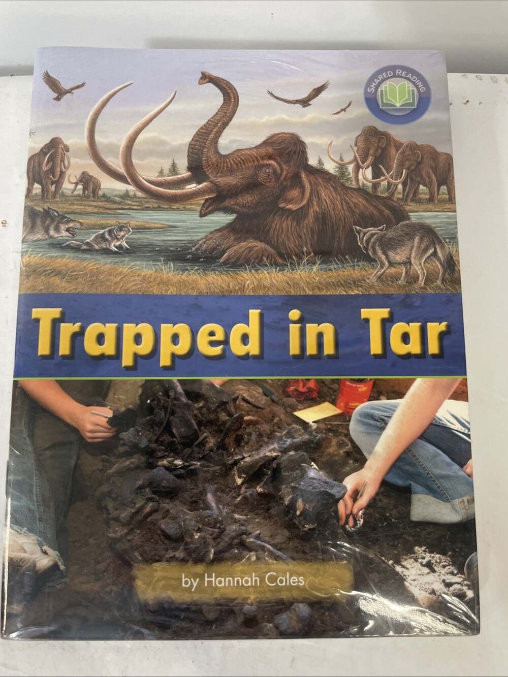 Fountas & Pinell Literacy Sealed 6 Pack Book Set Trapped In Tar